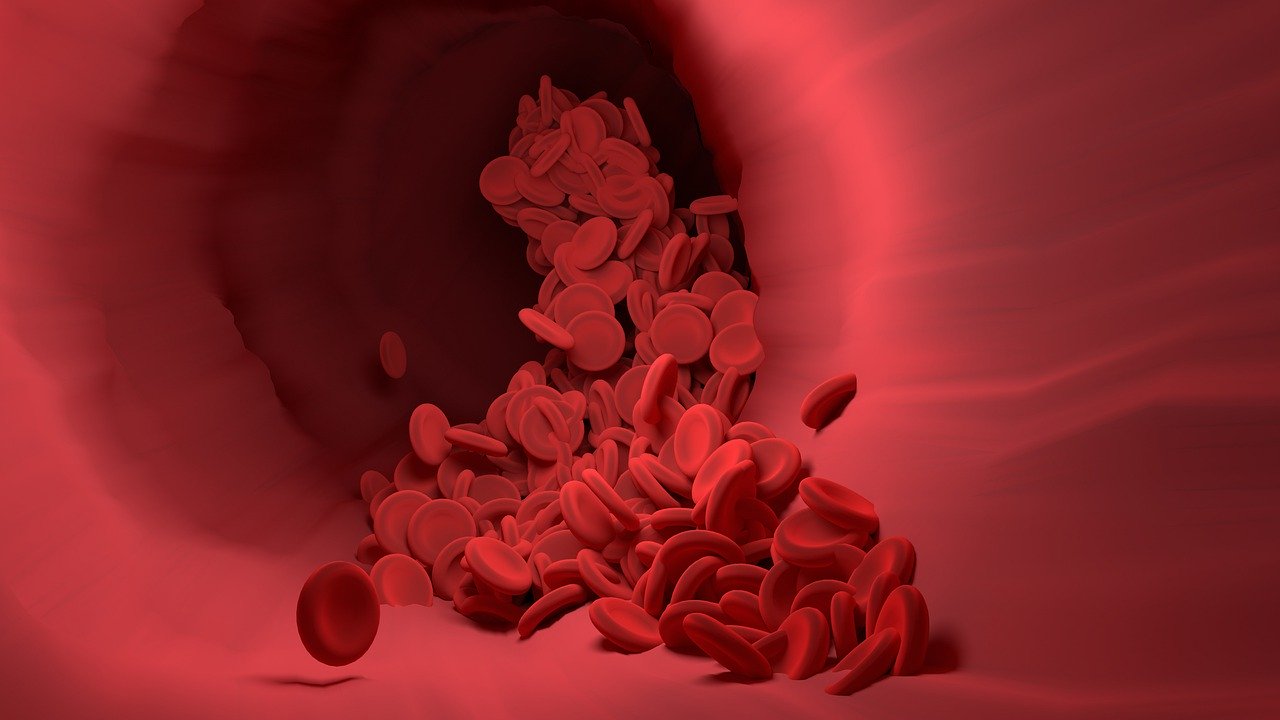 Red Blood